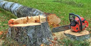 Best Arborist Consultation Services  in Gananda, NY